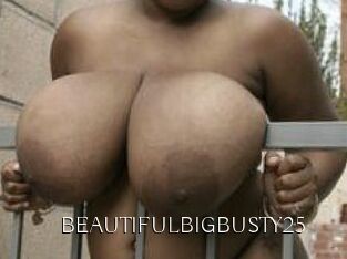 BEAUTIFULBIGBUSTY25