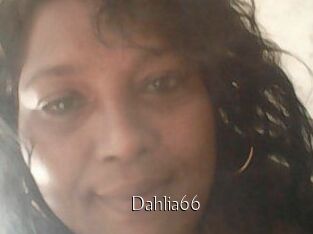 Dahlia66