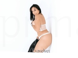 Evavelvet