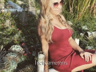 Inciicamerons