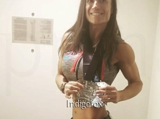 Indigofox