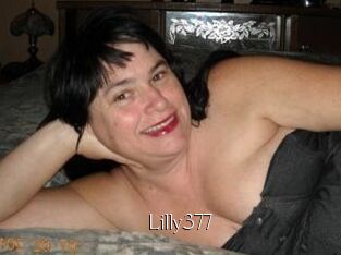 Lilly377