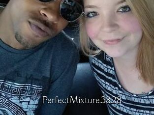 PerfectMixture3828
