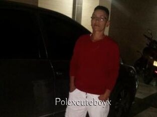 Polexcuteboyx