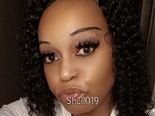 Shell019