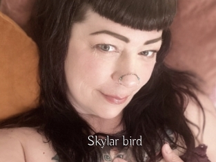 Skylar_bird
