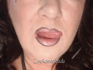 Zoekanaalsub